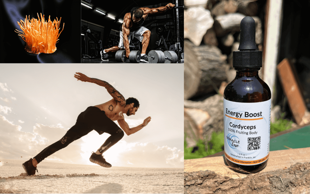 Cordyceps Militaris: The Energy-Enhancing Mushroom for Stamina, Vitality & Performance