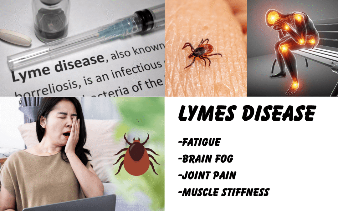 Natural Relief for Lyme Disease: How Medicinal Mushrooms and Methylene Blue Support Recovery