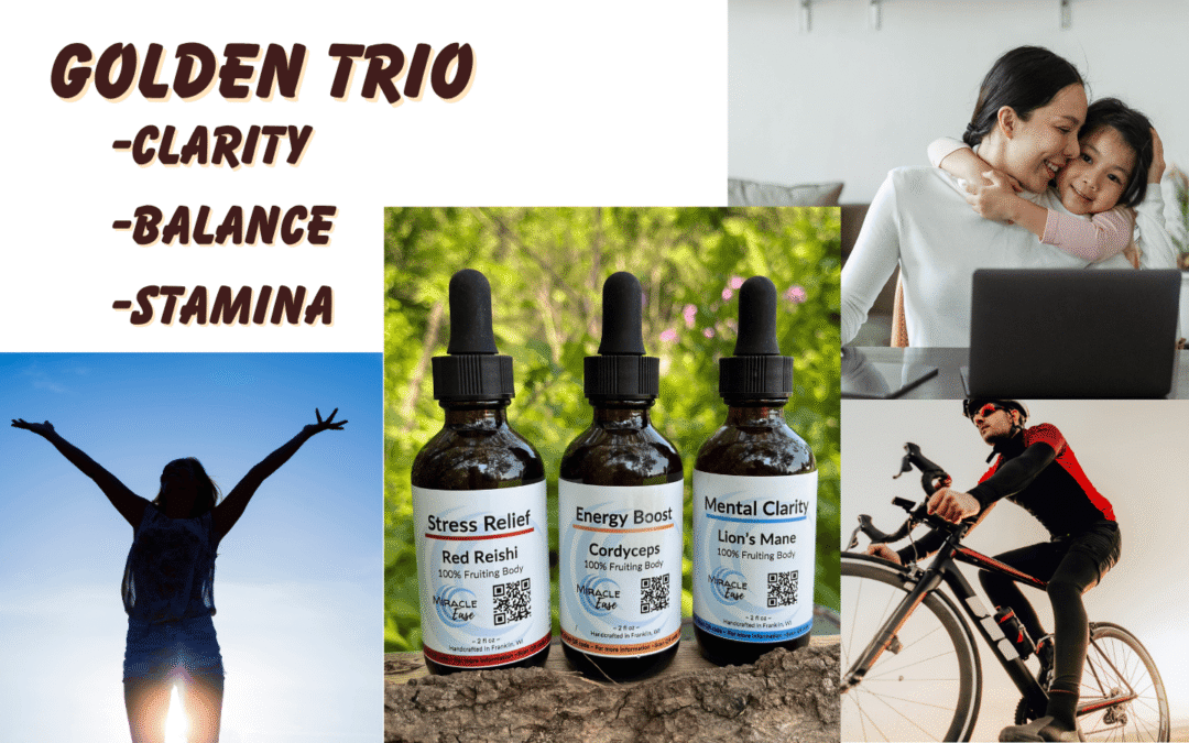 The Golden Trio: Lion’s Mane, Cordyceps, and Red Reishi for Mind, Body & Balance