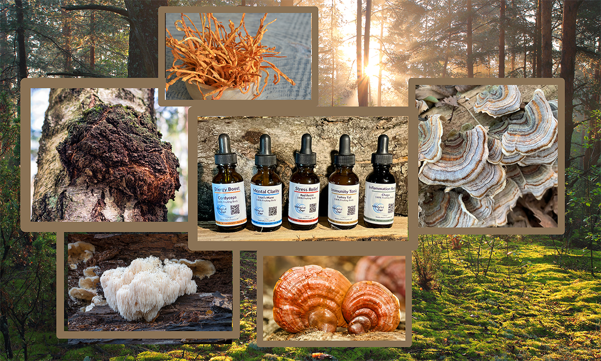 miracle-ease-tincture-mushrooms-medical-inflamation-adaptogen-mind-focus.