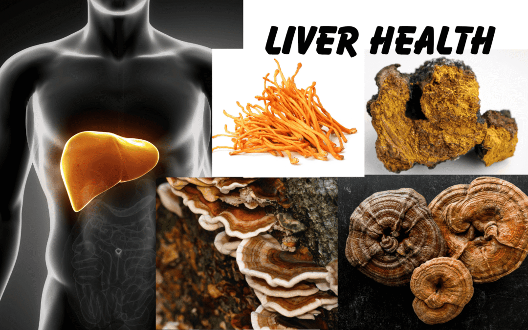 🌿 Natural Support for Liver Health: How Miracle Ease May Help